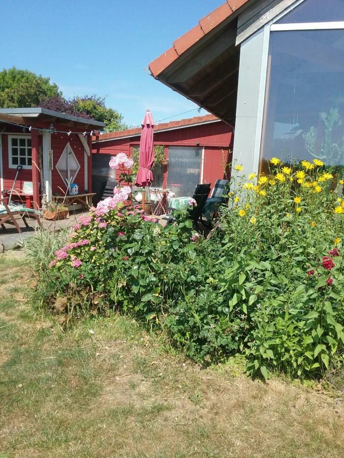 Ostseeurlaub-Asmussen Gelting Luaran gambar