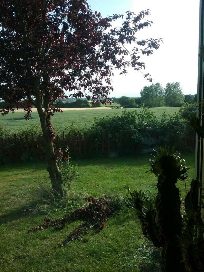 Ostseeurlaub-Asmussen Gelting Luaran gambar